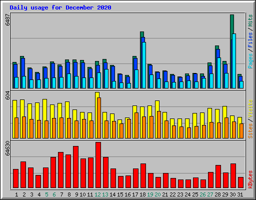 Daily usage for December 2020