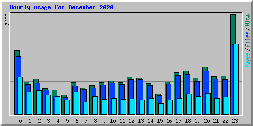 Hourly usage for December 2020