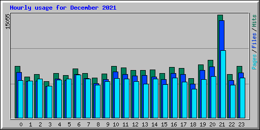 Hourly usage for December 2021