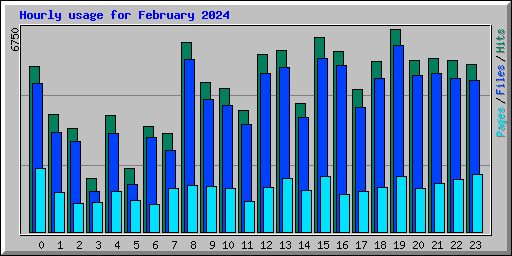 Hourly usage for February 2024