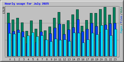 Hourly usage for July 2025