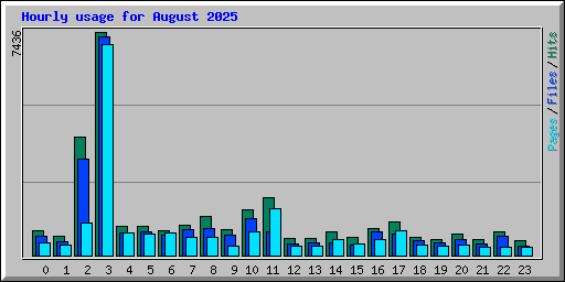 Hourly usage for August 2025