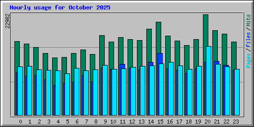 Hourly usage for October 2025