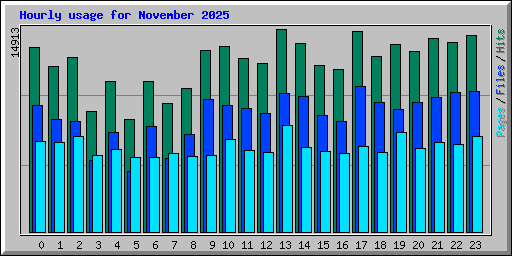Hourly usage for November 2025