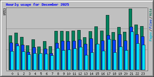 Hourly usage for December 2025