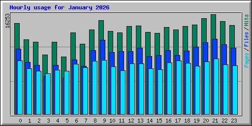 Hourly usage for January 2026